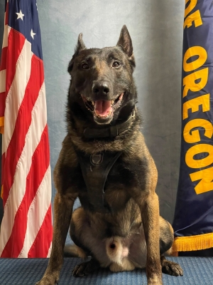 K9 Mika